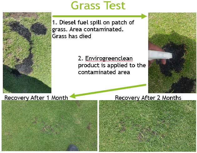 Grass regrow test